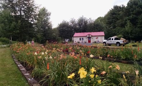 Ellie's Daylilies & Serendipity Shop Troy
