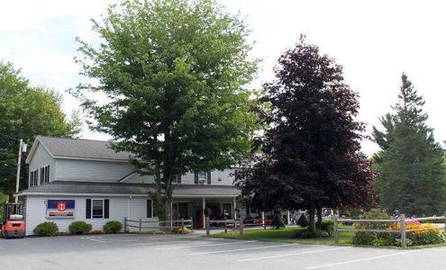 Ellsworth Chainsaw Sales & Service Trenton