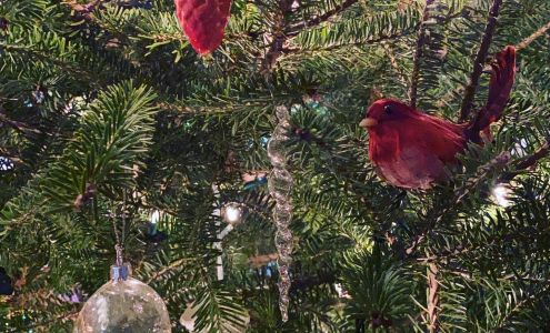 Michaels Good Designs