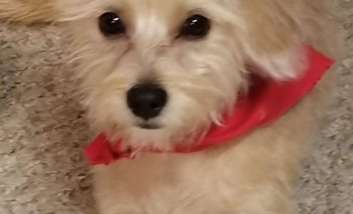 Pretty Paws 5211 Anson Ave, Eastman Georgia 31023