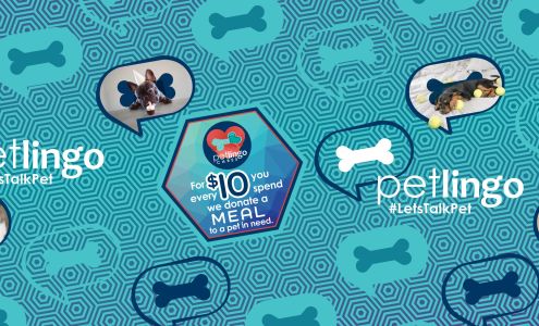 Petlingo Grooming | Lake Forest