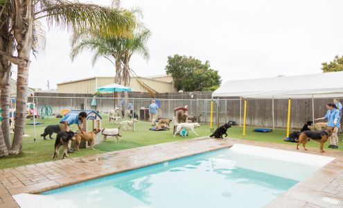 Dioji K-9 Resort & Athletic Club