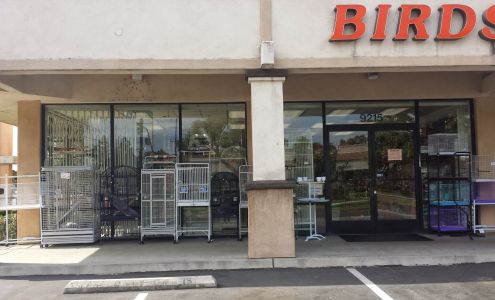 Exotic Birds By Fran