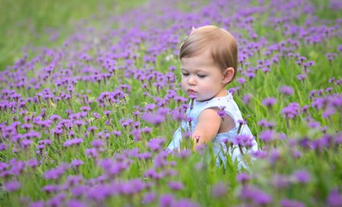 Photographic Creations