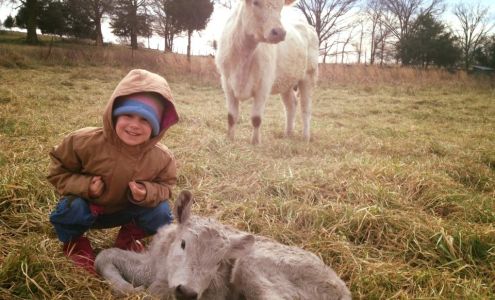 Be Fruitful Farm Bowman