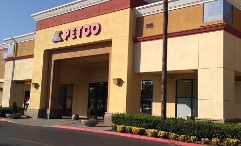 Petco Chino