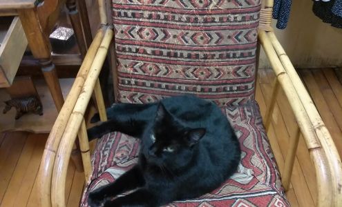 Adam N' Eve Boutique