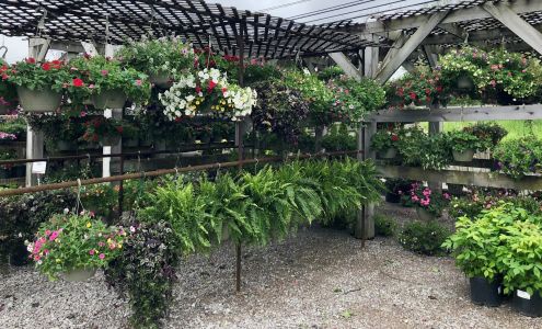 Bethel Feed & Supply Pet & Garden Center