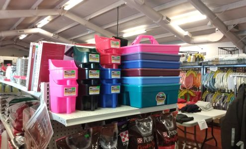 Chical Haystack Bosque Farms