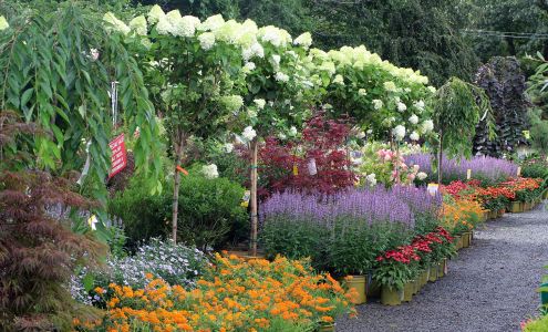 Rave Landscaping & Plant Center