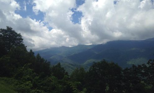 Laurel Treasures Jewelry