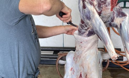 Toys Meat and Deer Processing