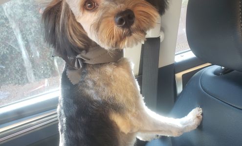 Pets Choice Grooming and Supply