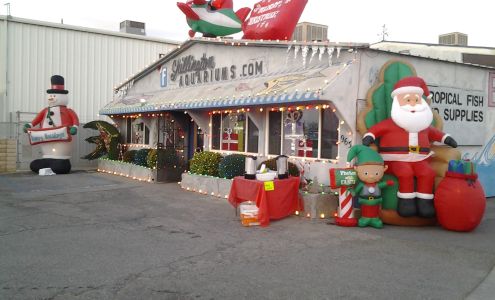 Shillington Aquariums