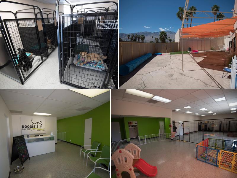 Doggie's Day Out of Palm Springs