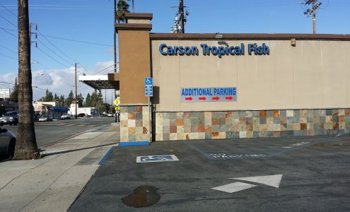 Carson Tropical Fish