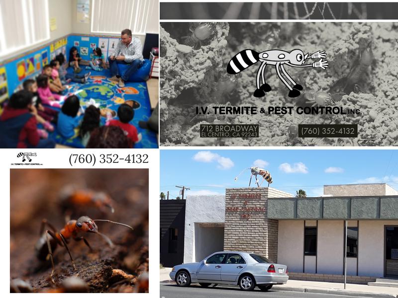IV Termite & Pest Control Inc.