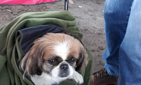 Gayla's Pet Grooming Salon LLC 7952 US-90 FL, Southeast Lee School Avenue, 7944 US-90, Lee Florida 32059