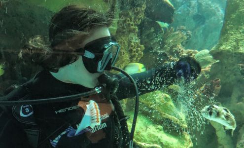 New England Aquarium Services