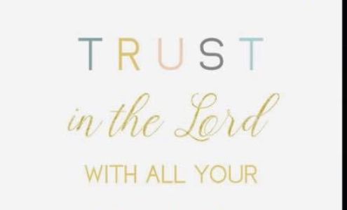 Mitch's Gold & Diamonds