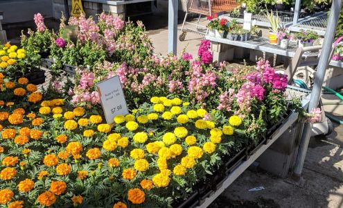 Garden Center at The Home Depot