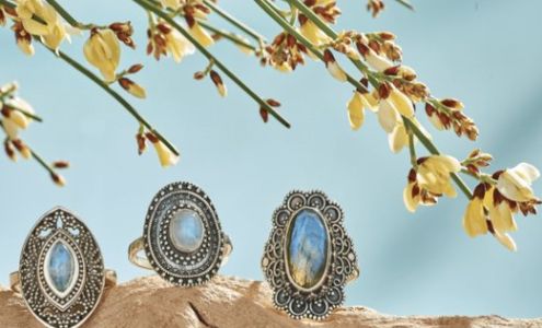 Tiger Mountain Portsmouth