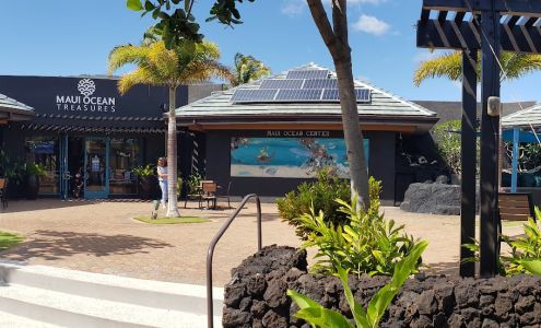 Maui Ocean Treasures
