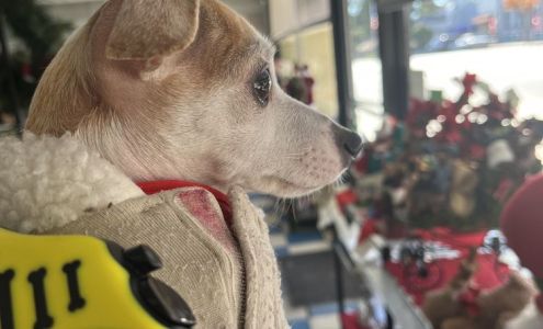 Meals On Wheels Thrift Store Lakeport