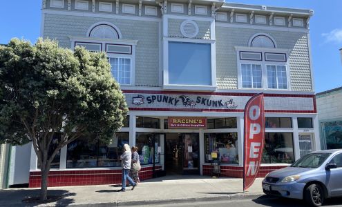 Spunky Skunk Toys / Racine's Art & Office Supplies