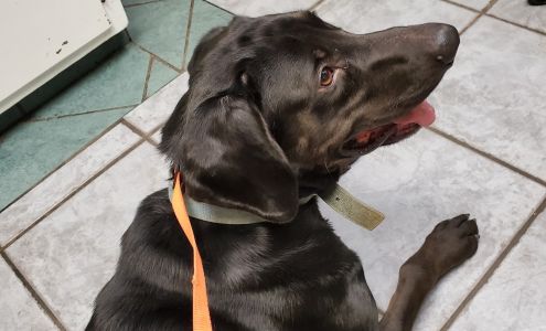 Eastside Animal Hospital