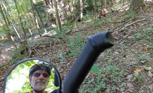 Bicycle Pedaler & Outfitter