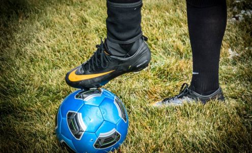 Badger Ankle Braces Colton