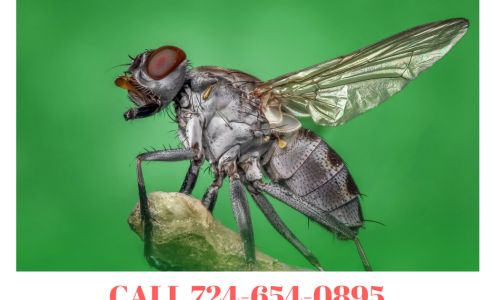 P&C Air duct cleaning Service