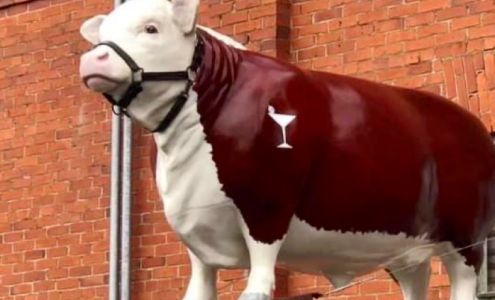 Garfield Meats Garfield