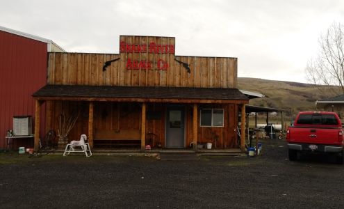 Snake River Arms Lapwai