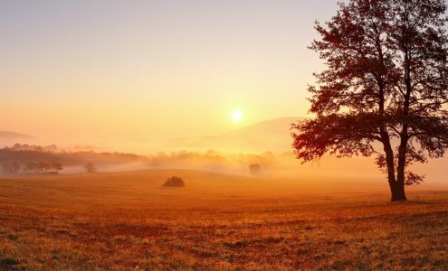 Snow Creek Meadows Scio