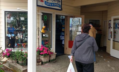 Raining Cats & Dogs Florence