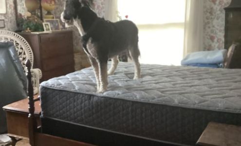 Bob's TV Home Furnishings Stronghurst