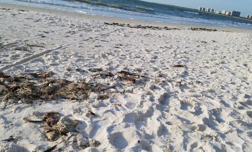 Insurance Solutions of SW Fl