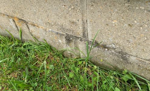 Spires Pest Control & Construction