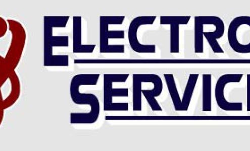 Electronic Servicing Silver Lake