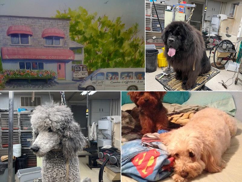 Canine Coiffure Ltd-Canine Inn