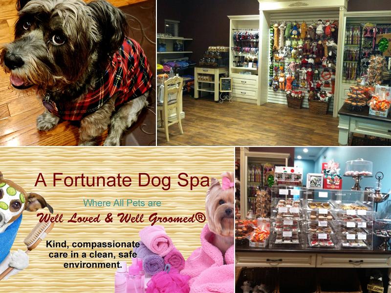 A Fortunate Dog Spa