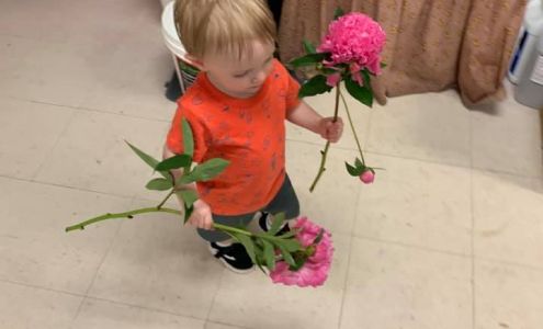 Stitches & Petals Dodge