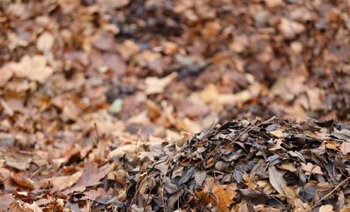 Big Four Hardware Stanberry