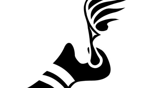 Second Sole Massillon