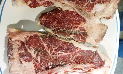 Garrison Limousin Osceola