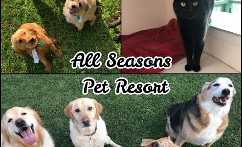 All Seasons Pet Houses Campbellsville