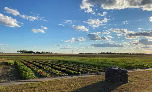 Tin Bucket Farms Inman