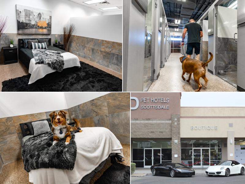 D Pet Hotels Scottsdale
